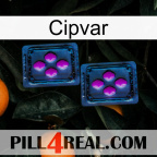 Cipvar 03